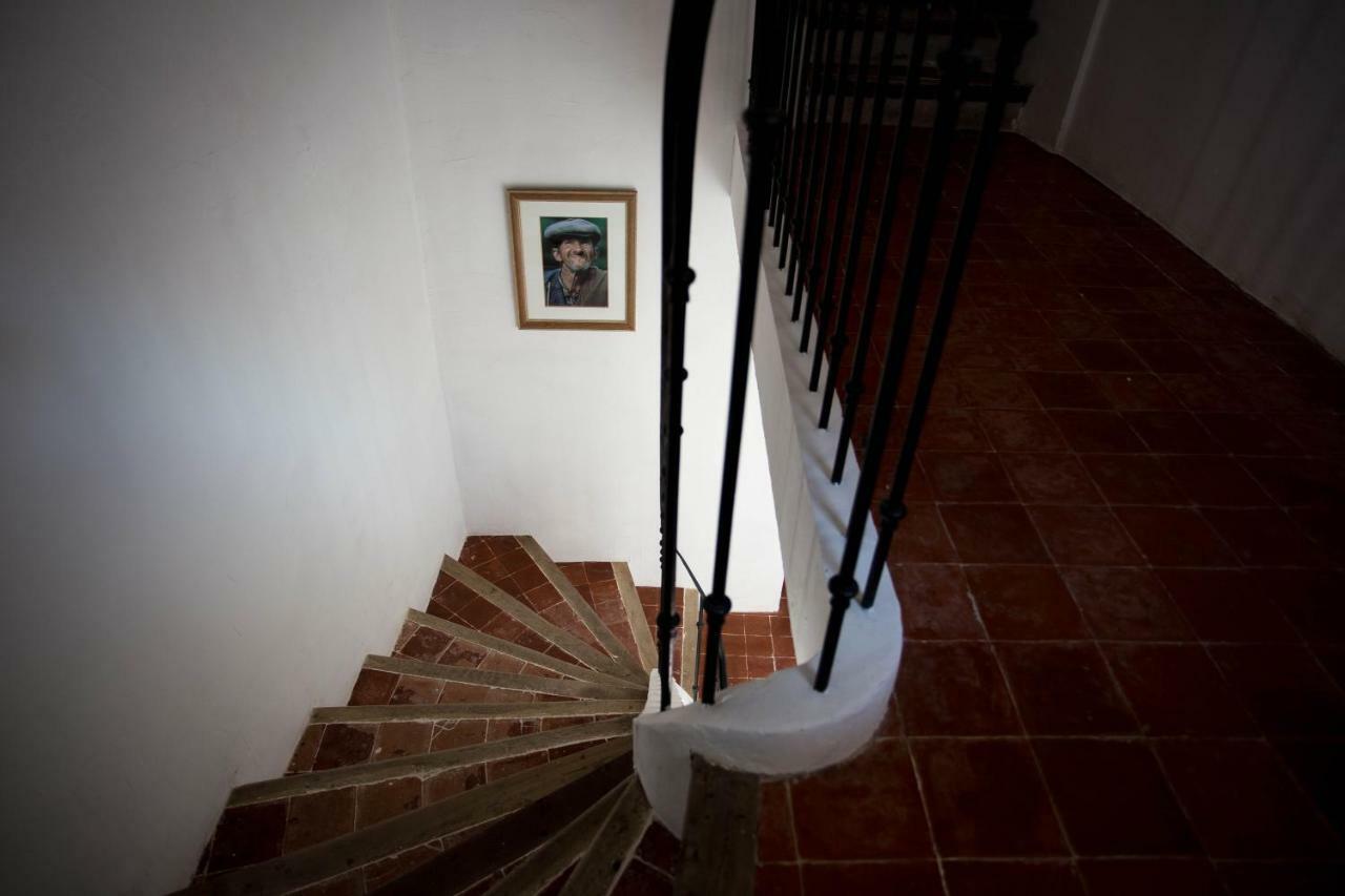 Maison D'Hotes Ventoureso Malemort-du-Comtat Exteriér fotografie